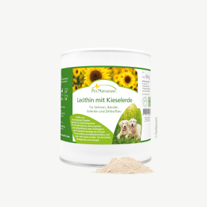 Lecithin Kieselerde - 1